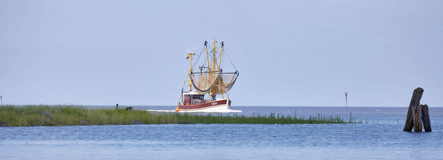 Nordsee Fischkutter Butjapark